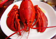 webassets/how-to-steam-lobster-1.jpg